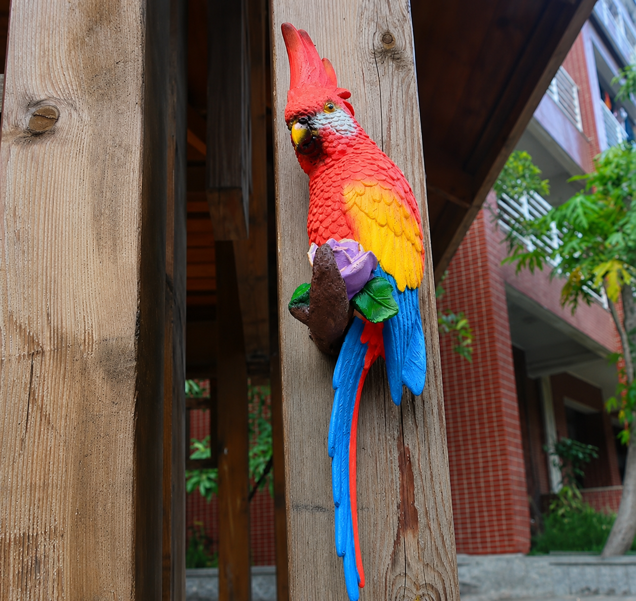 Resin Wall Mount Parrot Statue